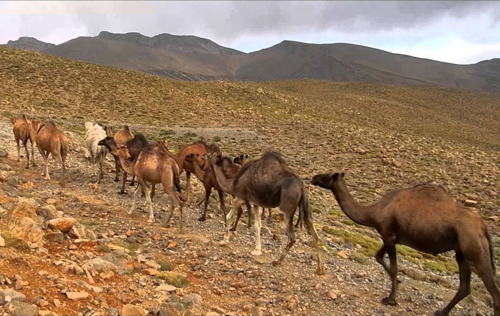Ruta de 8 días Jebel Saghro
