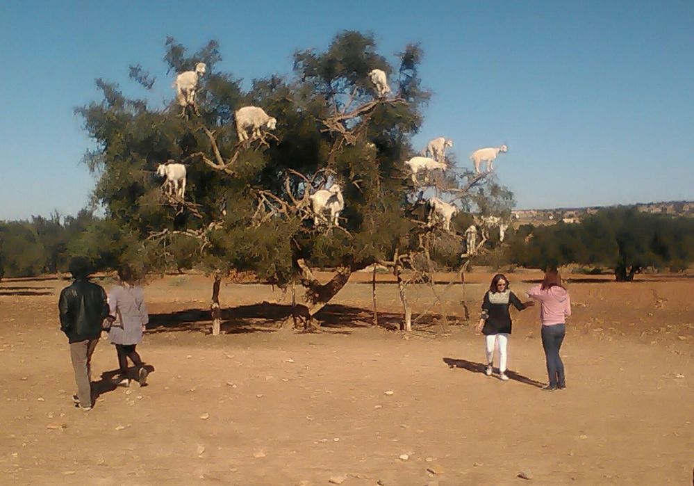 Ruta 13 días Trekking Costa Atlántica