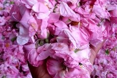 005-rutas-viajealdesierto-010