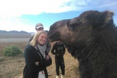 excursion-viaje-al-desierto-dromedario