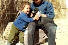 excursion-viaje-al-desierto-ruta