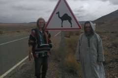 excursion-viajeal-desierto-dromedarios