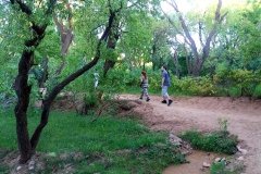 grupos-viajealdesierto_02