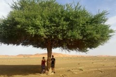 grupos-viajealdesierto_09