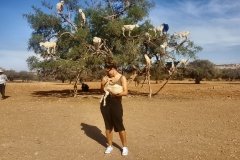 grupos-viajealdesierto_14