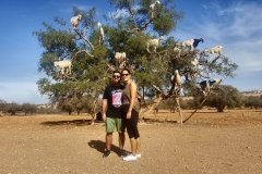 grupos-viajealdesierto_15