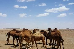 morocco-viajeal-desierto