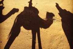 organizar-viajesaldesierto