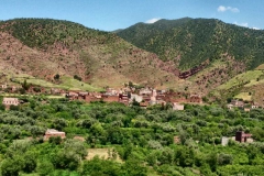 tour-viaje-al-desierto_08