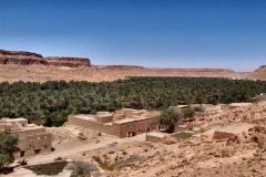 tour-viaje-al-desierto_12