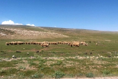 tour-viaje-al-desierto_19