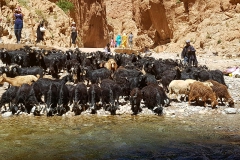 tour-viaje-al-desierto_20