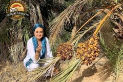 tour-viajealdesierto_03