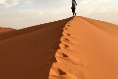 tour-viajealdesierto_04