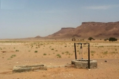 viaje-al-desierto_04