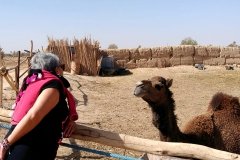 viaje-al-desierto_07