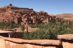 viaje-al-desierto_11