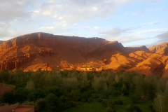 viaje-al-desierto_14