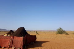 viaje-al-desierto_17