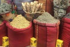 viaje-al-desierto_19