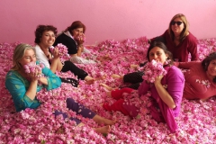 viaje-al-desierto_31