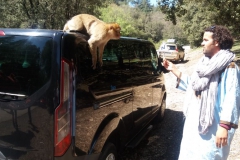 viaje-al-desierto_37