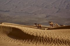 viaje-al-desierto_46