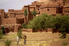 viaje-al-desierto_48