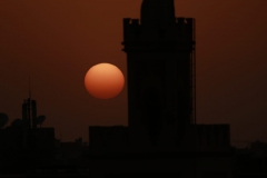 viaje-al-desierto_49