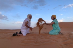 viajealdesierto-rutas_24