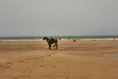 viajealdesierto-sidi-kaouki_04