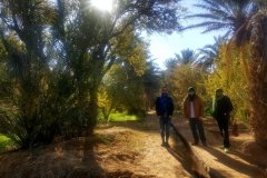 viajealdesierto-tours_08