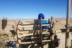 viajealdesierto-tours_11