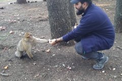 viajes-al-desierto-rutas