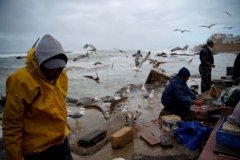 viajes-desierto-dunas